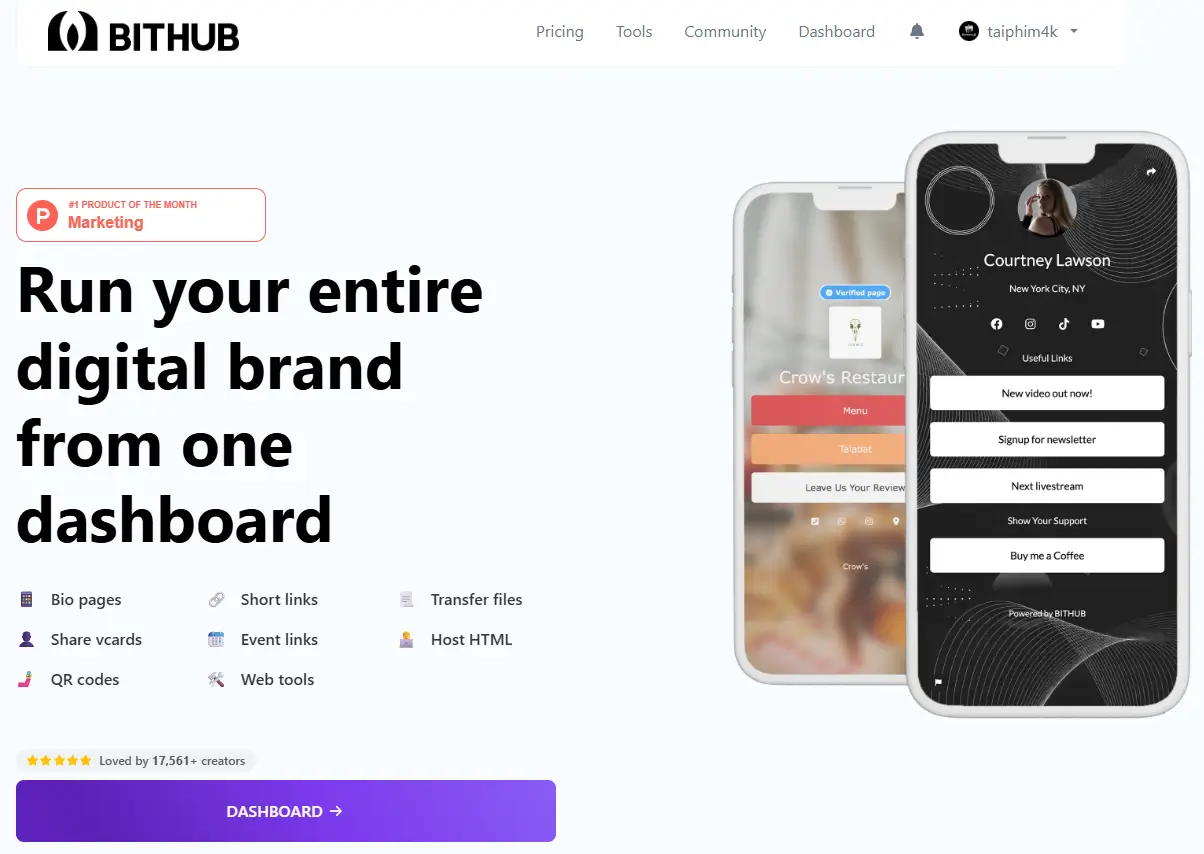 BITHUB-1